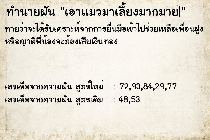 ทำนายฝัน เอาแมวมาเลี้ยงมากมาย| ทำนายฝัน เอาแมวมาเลี้ยงมากมาย|